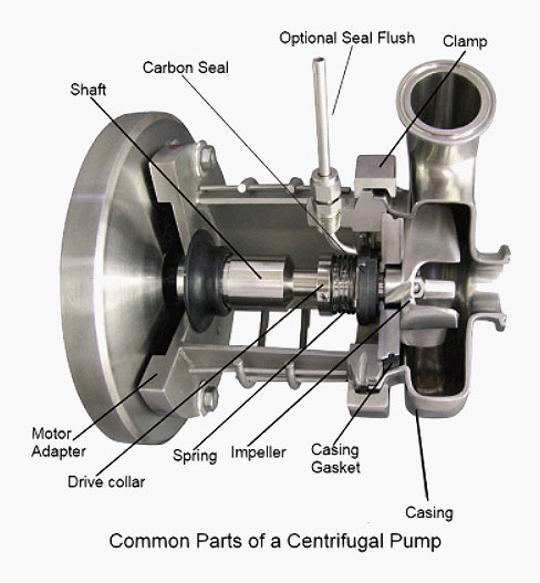 Main Parts of a Centrifugal Pump
